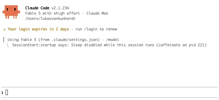 a terminal window, a prompt, and nothing else